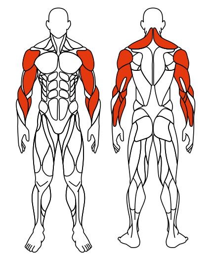 СТ 101 Рули (положение стоя).JPG