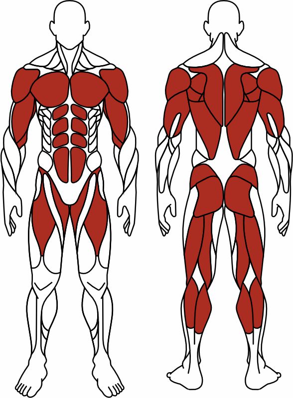 СТ 033 Наездник
